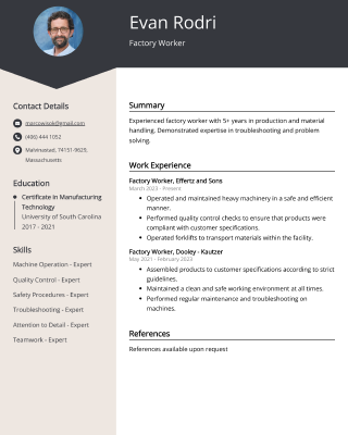Resume Preview